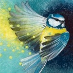 vierkante dubbele wenskaart
met envelop
Loes Botman